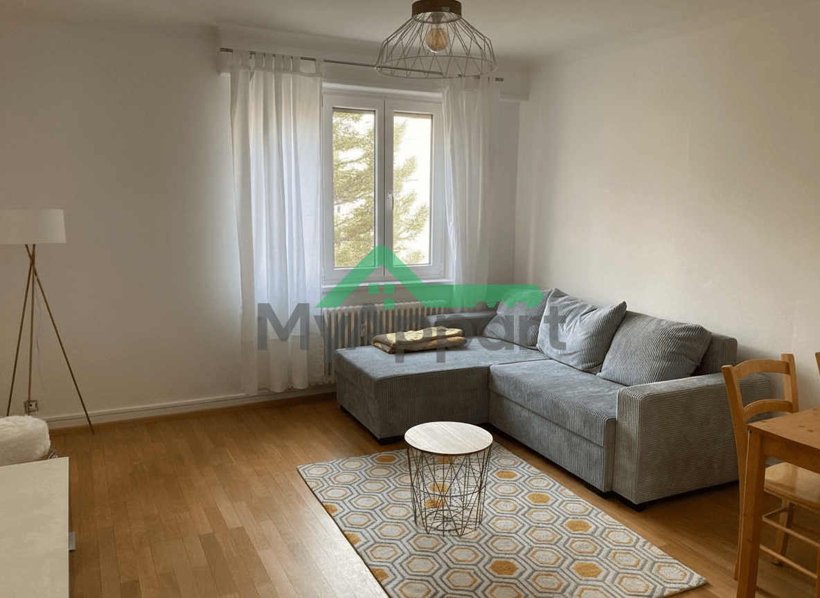 Loue magnifique appartement meublé T2 dans le quartier Sud de Colmar