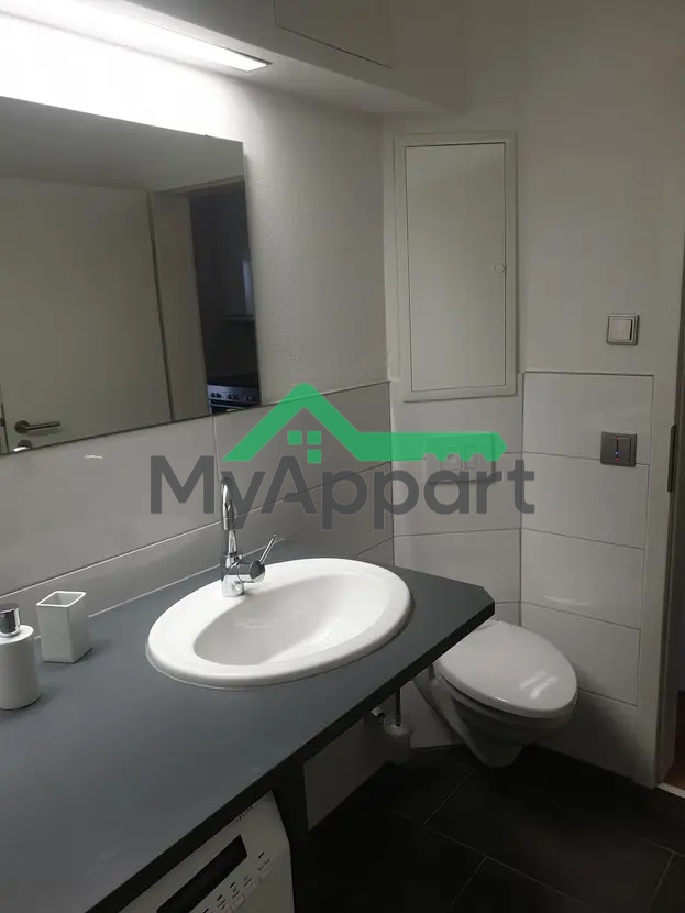 Appartement 1 pièce rénové – 33 m² – Vincennes, Rue de Fontenay — photo 5