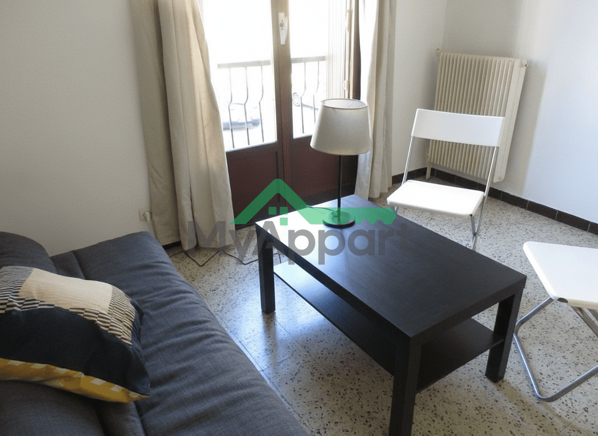 T1 MEUBLE de 28,67 m2 (loi carrez)