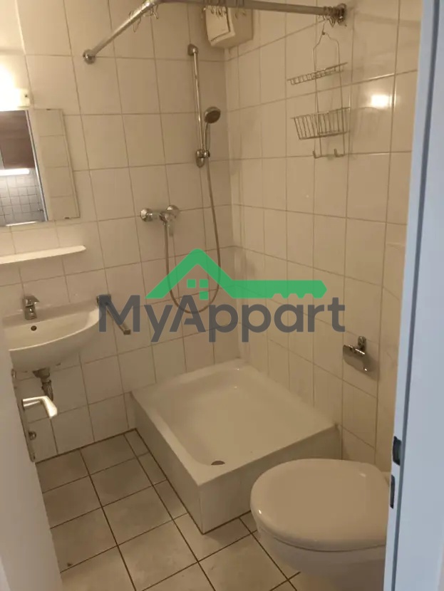 Studio avec balcon • 1 pièce • 18 m² –  Issy-les-Moulineaux — photo 4