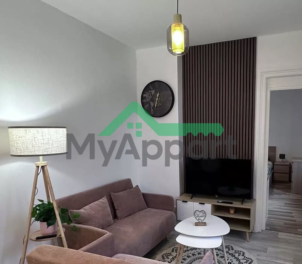Appartement T2 entièrement rénové