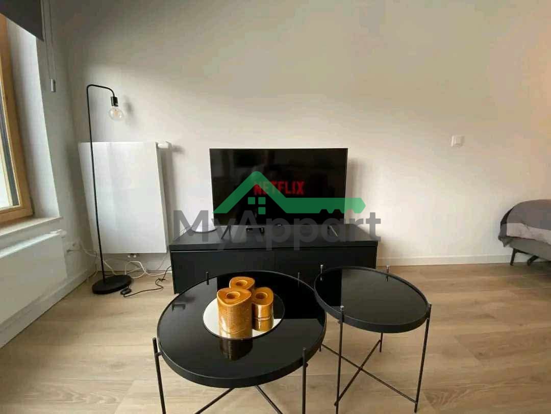 Studio meublé à louer à Paris 15ème 