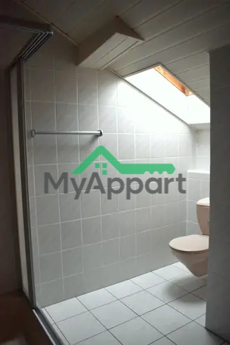 Grand studio au dernier étage avec vue dégagée • 1 pièce • 40 m² – Paris 20e — photo 4