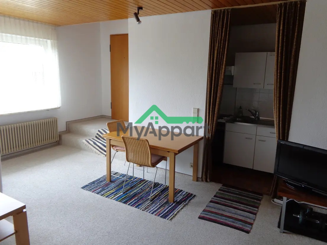 Studio meublé en rez-de-chaussée • 1 pièce • 40 m² – Issy-les-Moulineaux
