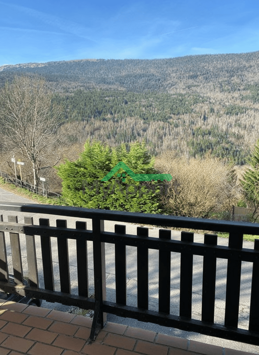 Appartement T2 55m2