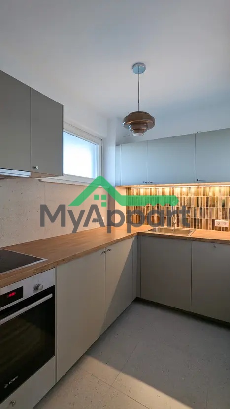 Grand studio meublé • 1 pièce • 41 m² – Villejuif — photo 3