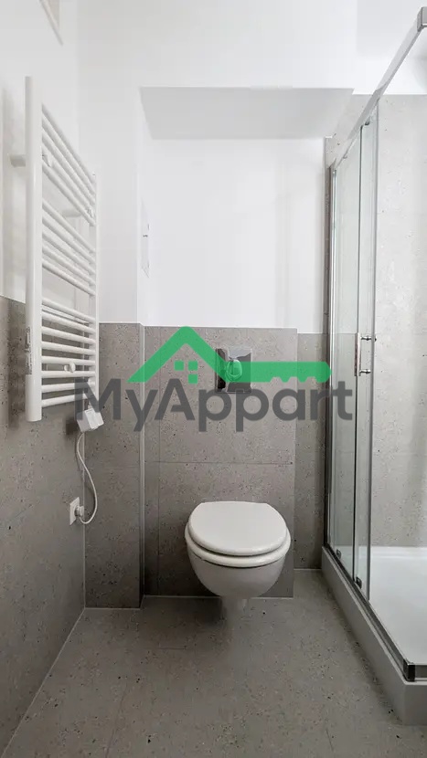 Grand studio meublé • 1 pièce • 41 m² – Villejuif — photo 6