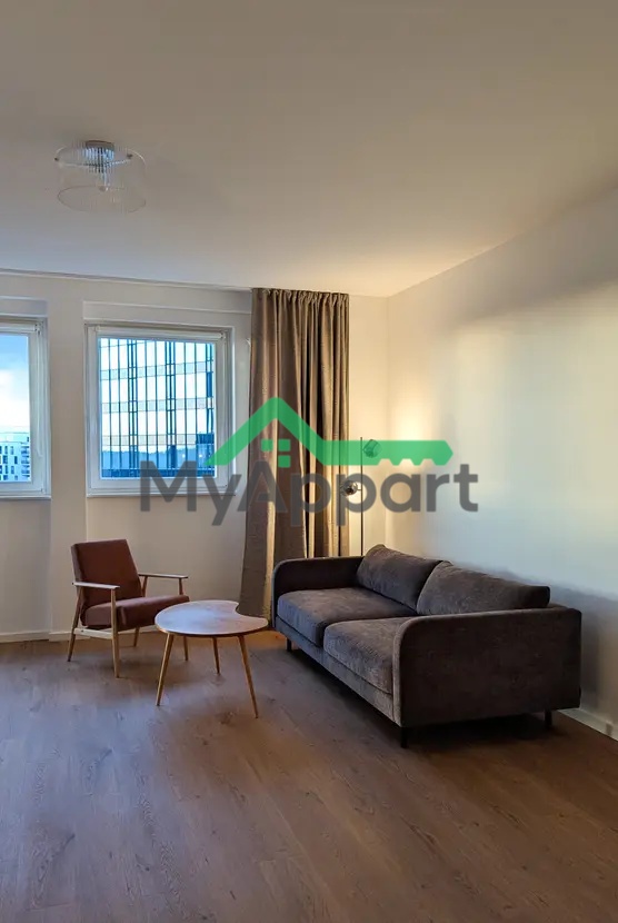 Grand studio meublé • 1 pièce • 41 m² – Villejuif — photo 1