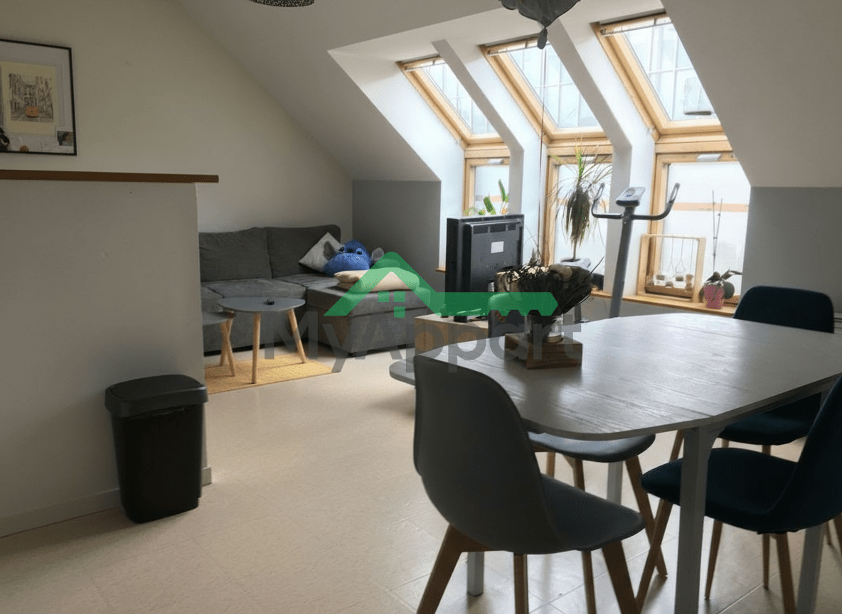 Location T2 très lumineux St Leu