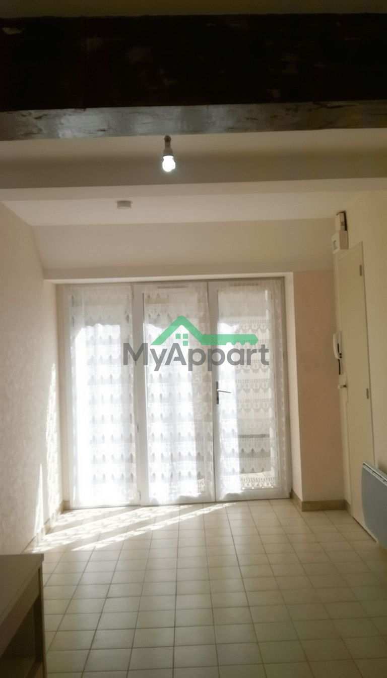 Appartement Angers centre quartier château