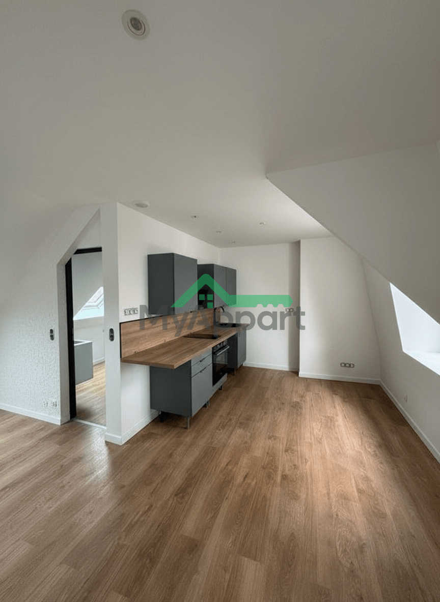 Grand studio neuf moderne et lumineux