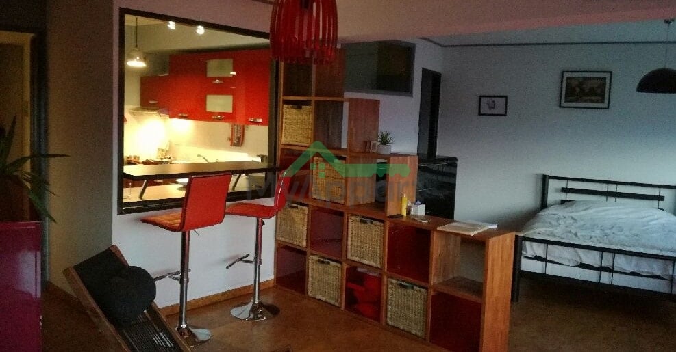 Location meublée appartement 1 pièce 42 m² à Rennes (35) — photo 1