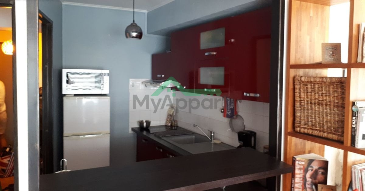 Location meublée appartement 1 pièce 42 m² à Rennes (35) — photo 3