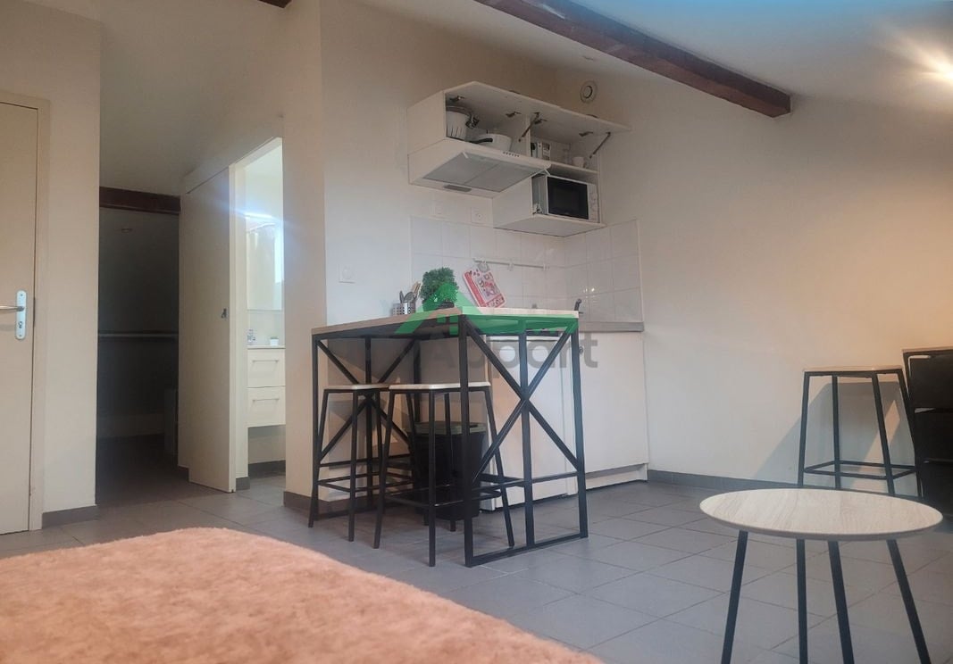 Studio meublé rénové avec jardin — photo 2