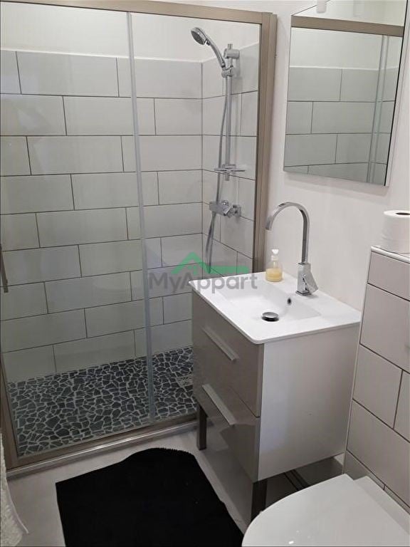 Appartement T2 meublé lumineux — photo 4