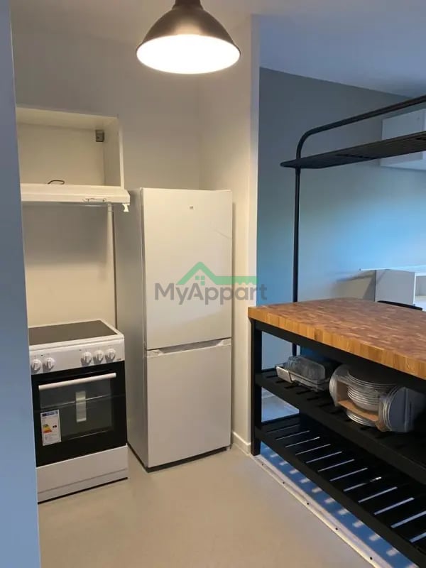 Appartement meublé rénové terrasse jardin parking — photo 3