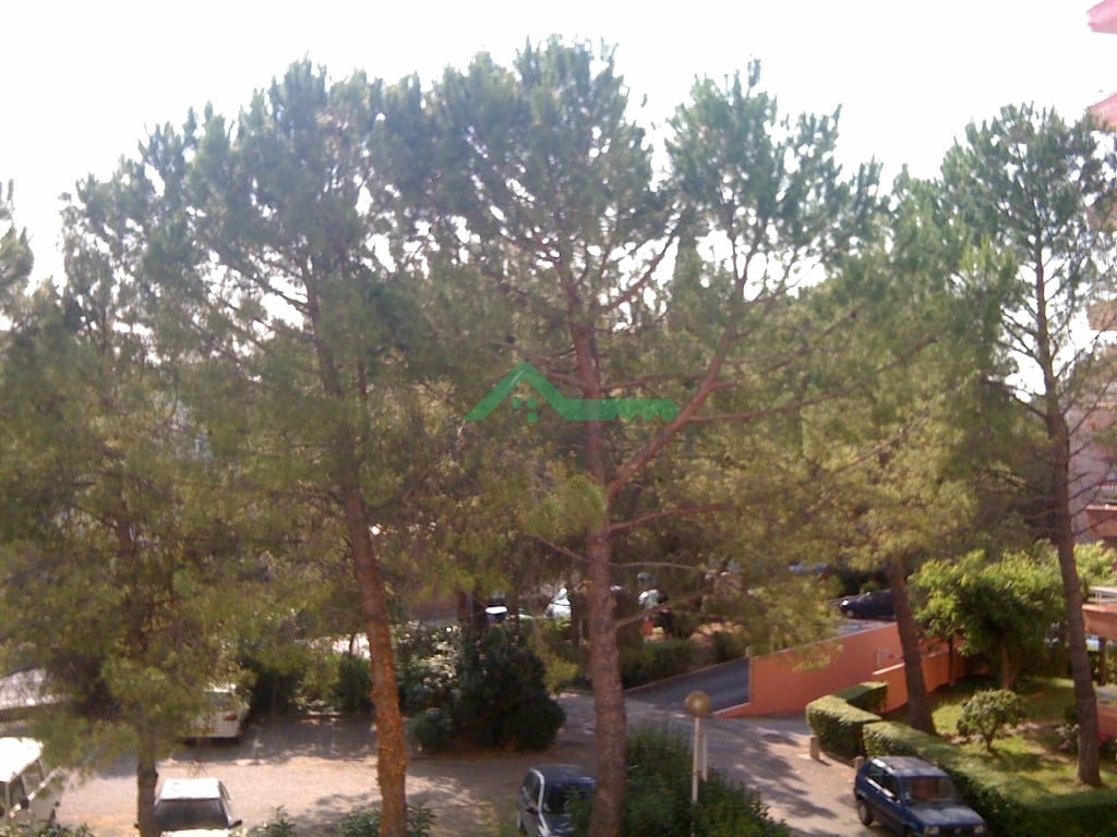 Location Studio 19 m² Montpellier - Boutonnet — photo 3