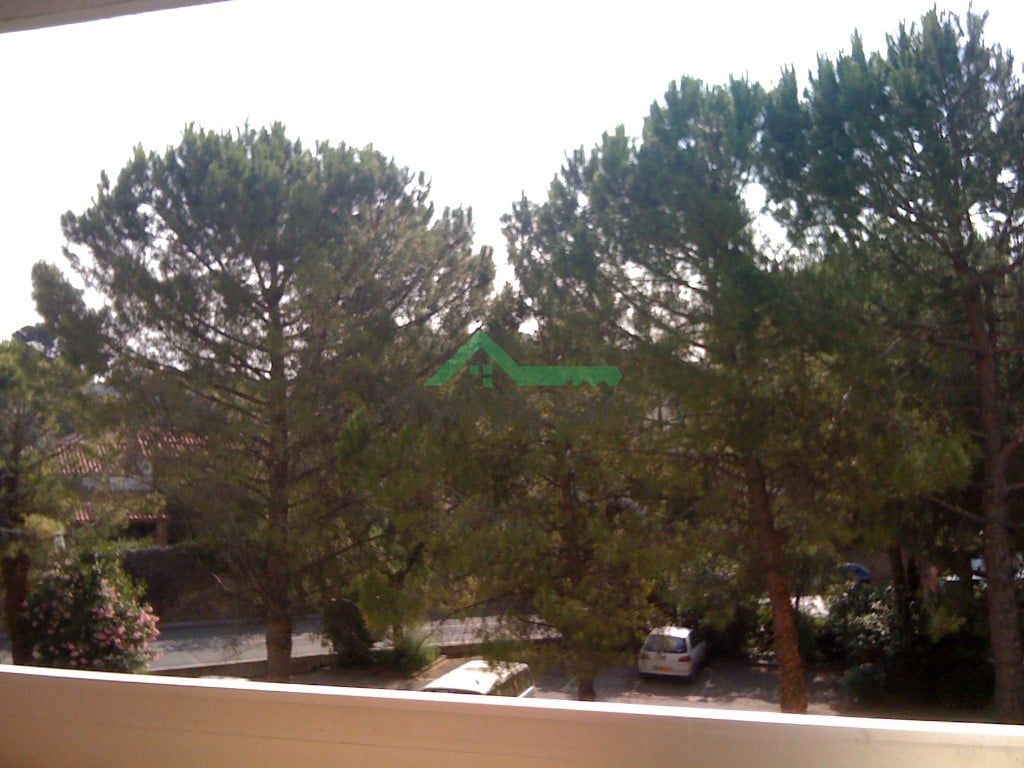 Location Studio 19 m² Montpellier - Boutonnet — photo 2