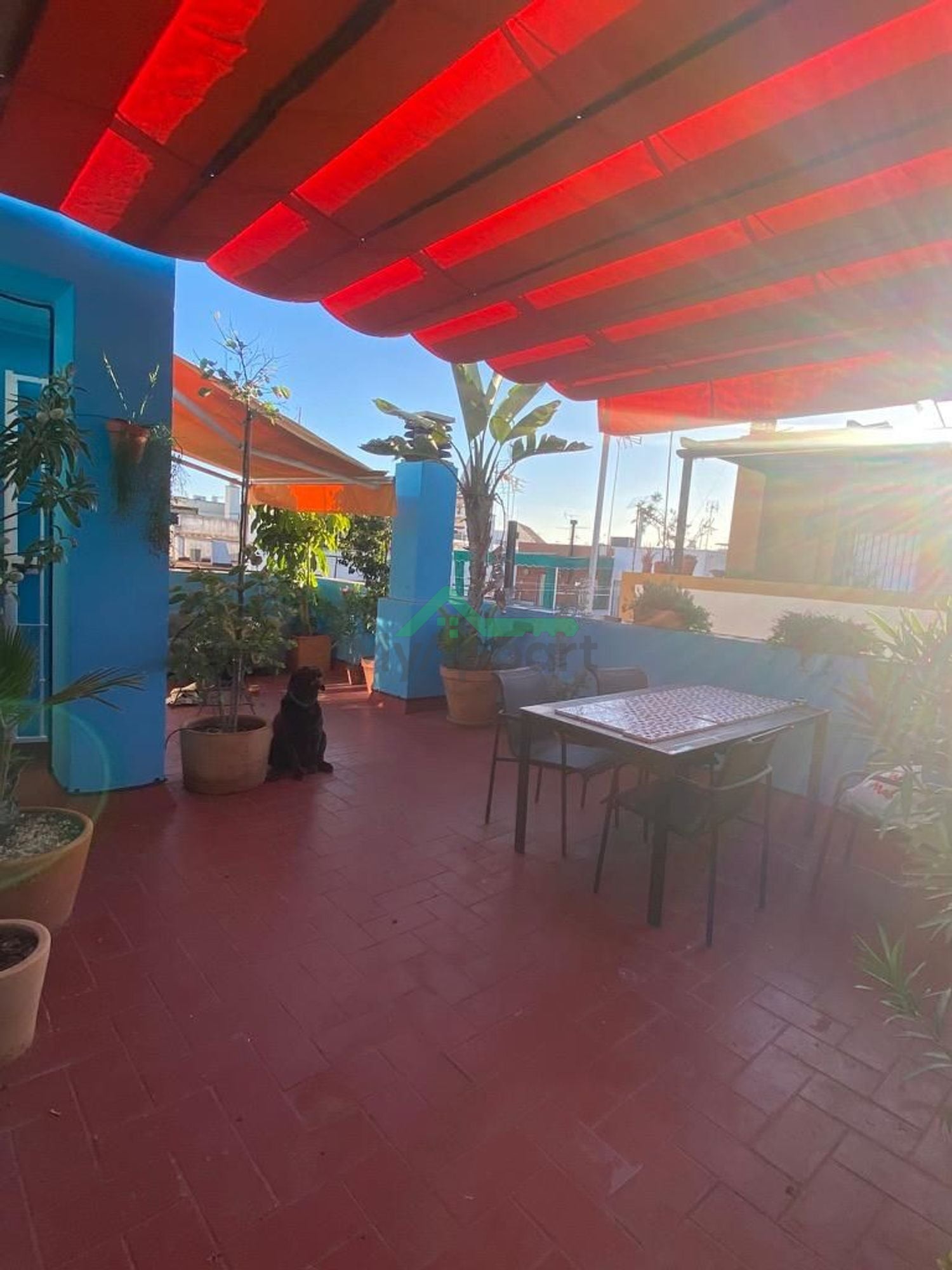 Alquiler de Ático en San Julián — foto 2