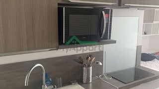 Sous location studio meublé 20m2 Lyon 7eme arrondissement — photo 1