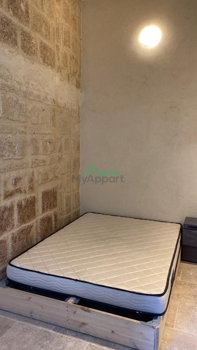 Appartement T2 meublé rénové — photo 5