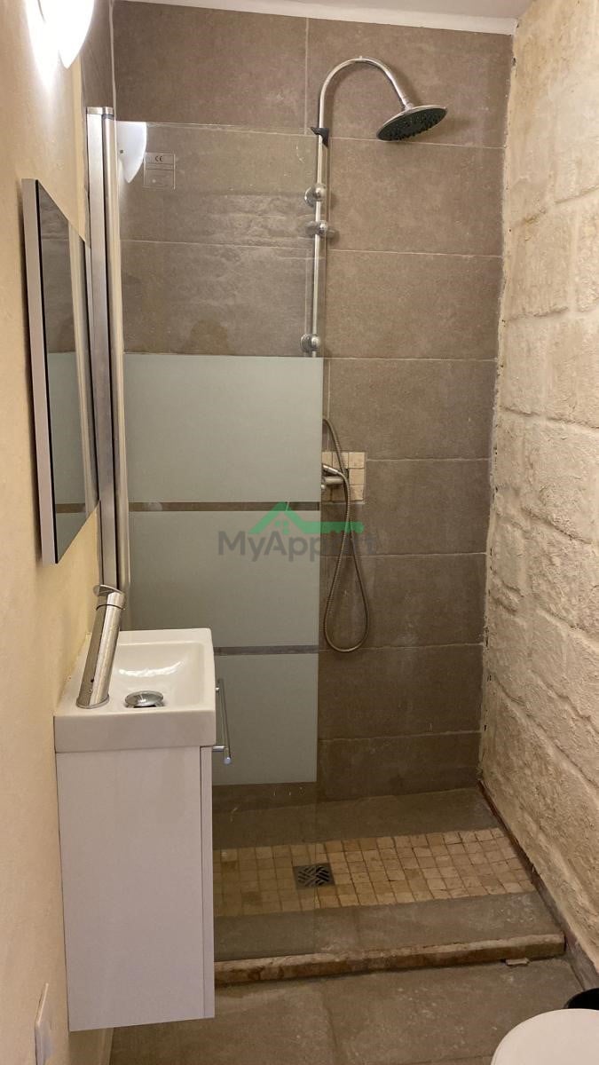 Appartement T2 meublé rénové — photo 4