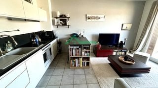 Appartement meublé balcon vue Saône — photo 2