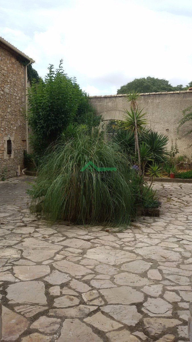 Appartement 2 pièces 33 m², Saint-Georges-d'Orques - 547 € — photo 2