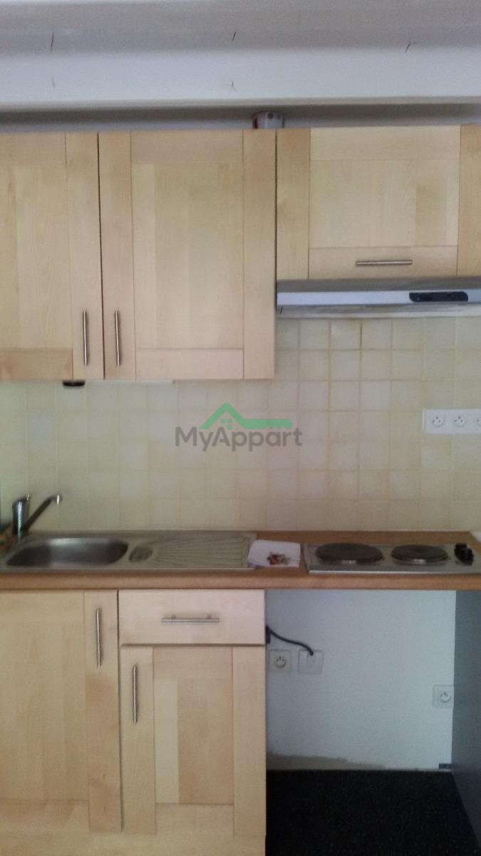 Appartement 2 pièces 33 m², Saint-Georges-d'Orques - 547 € — photo 8