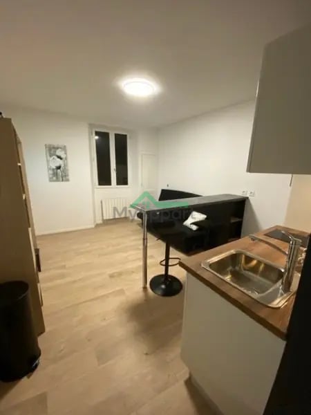 Appartement meublé 1 pièce 21 m², Villefranche-sur-Saône - 490 €