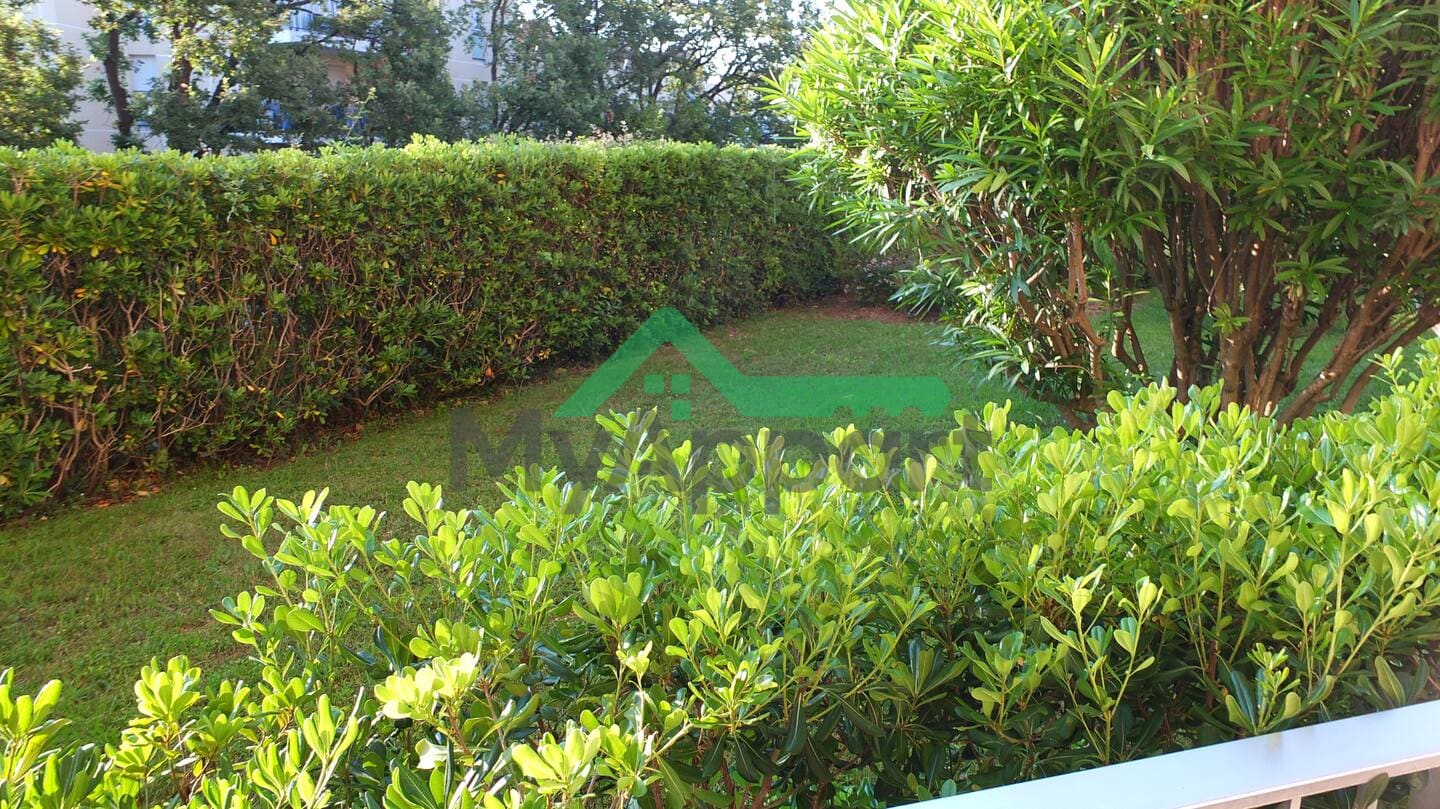 Miniature 9