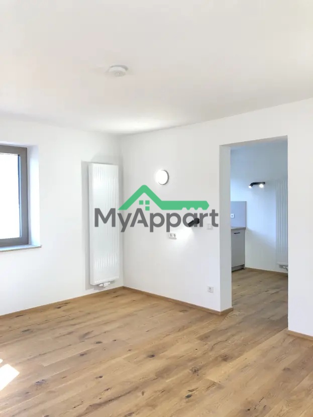 Charmant 1,5-pièces rénové avec cuisine équipée – Boulogne-Billancourt (Rue de Bellevue, 92100) — photo 4