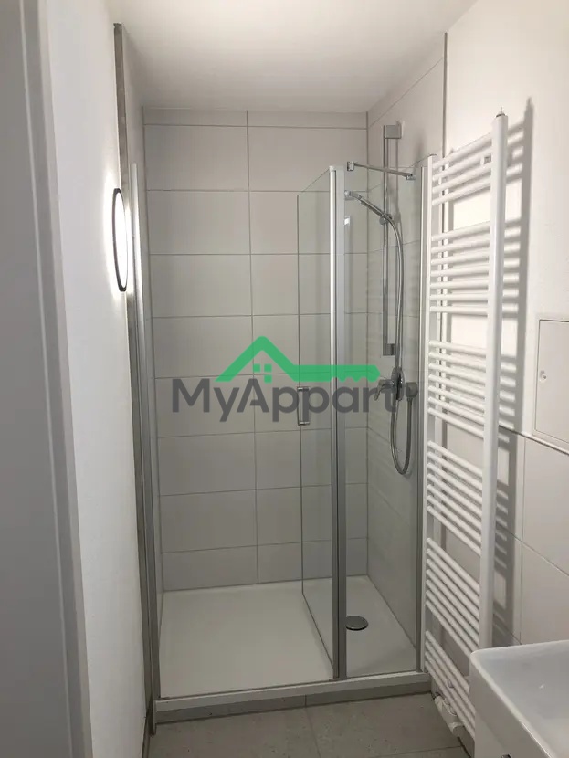 Charmant 1,5-pièces rénové avec cuisine équipée – Boulogne-Billancourt (Rue de Bellevue, 92100) — photo 6