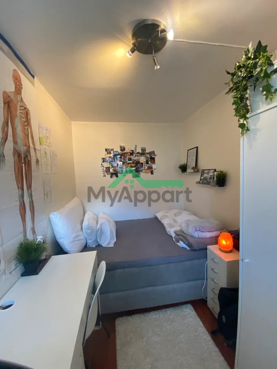 Appartement 2 pièces 32 m² — photo 2