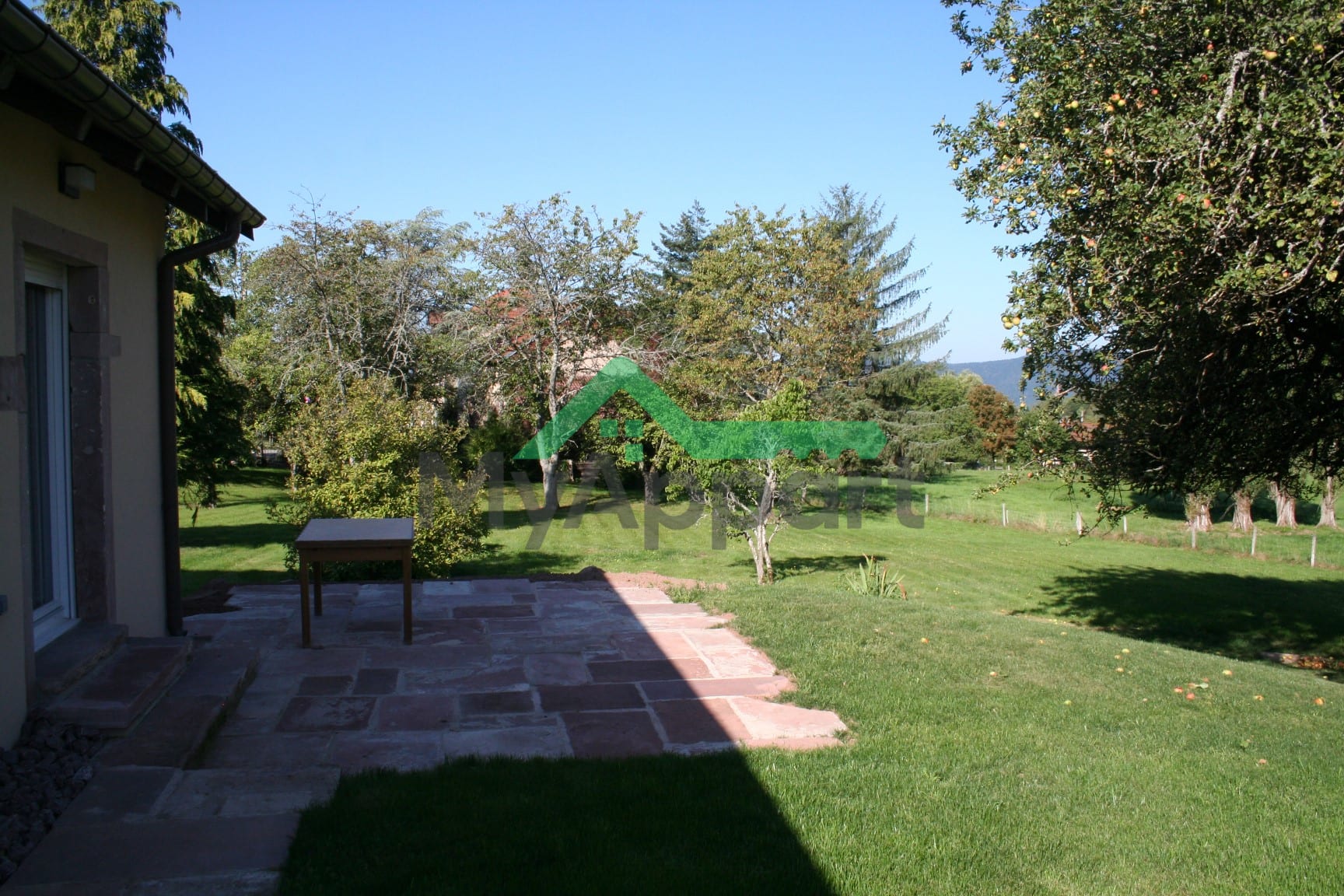 Miniature 5