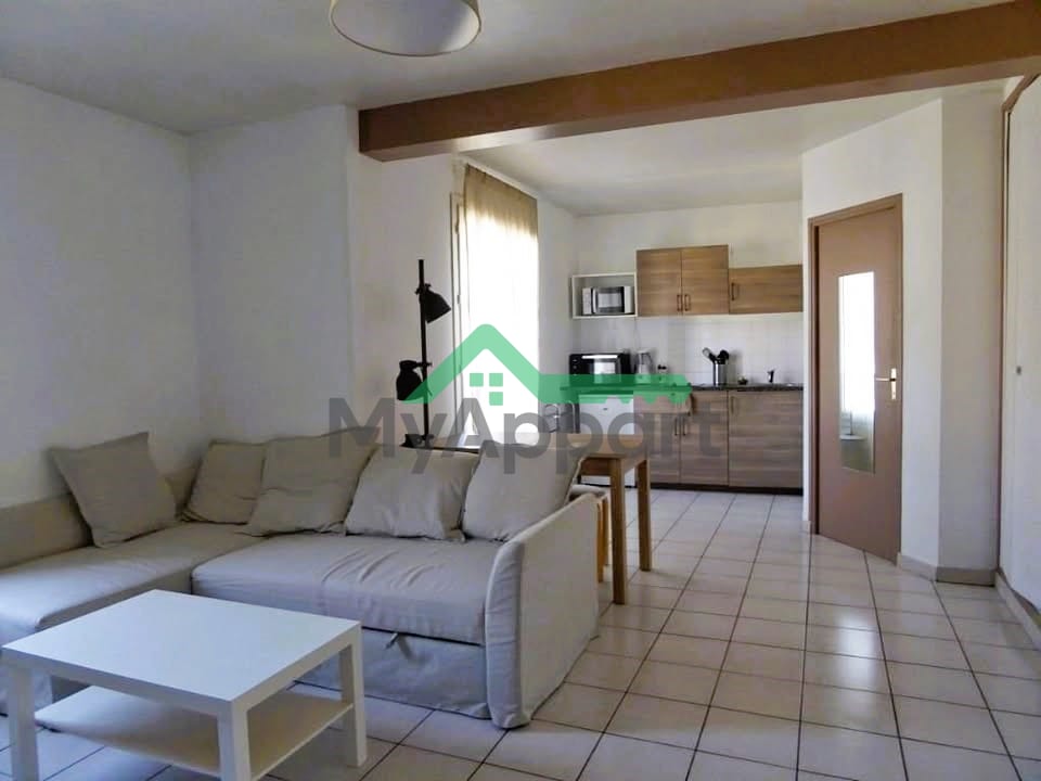 Studio 1 pièce 24 m² — photo 1