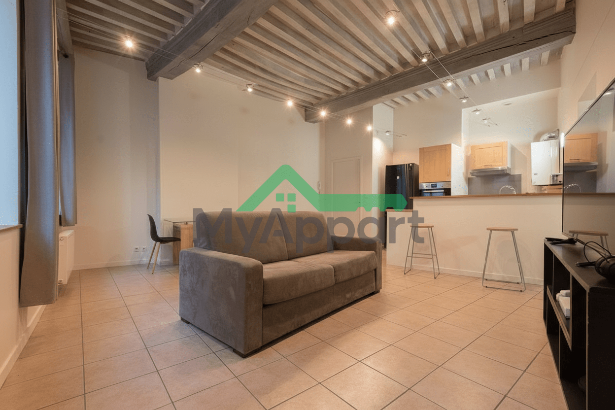 T3 67 m2 rénové meublé hypercentre