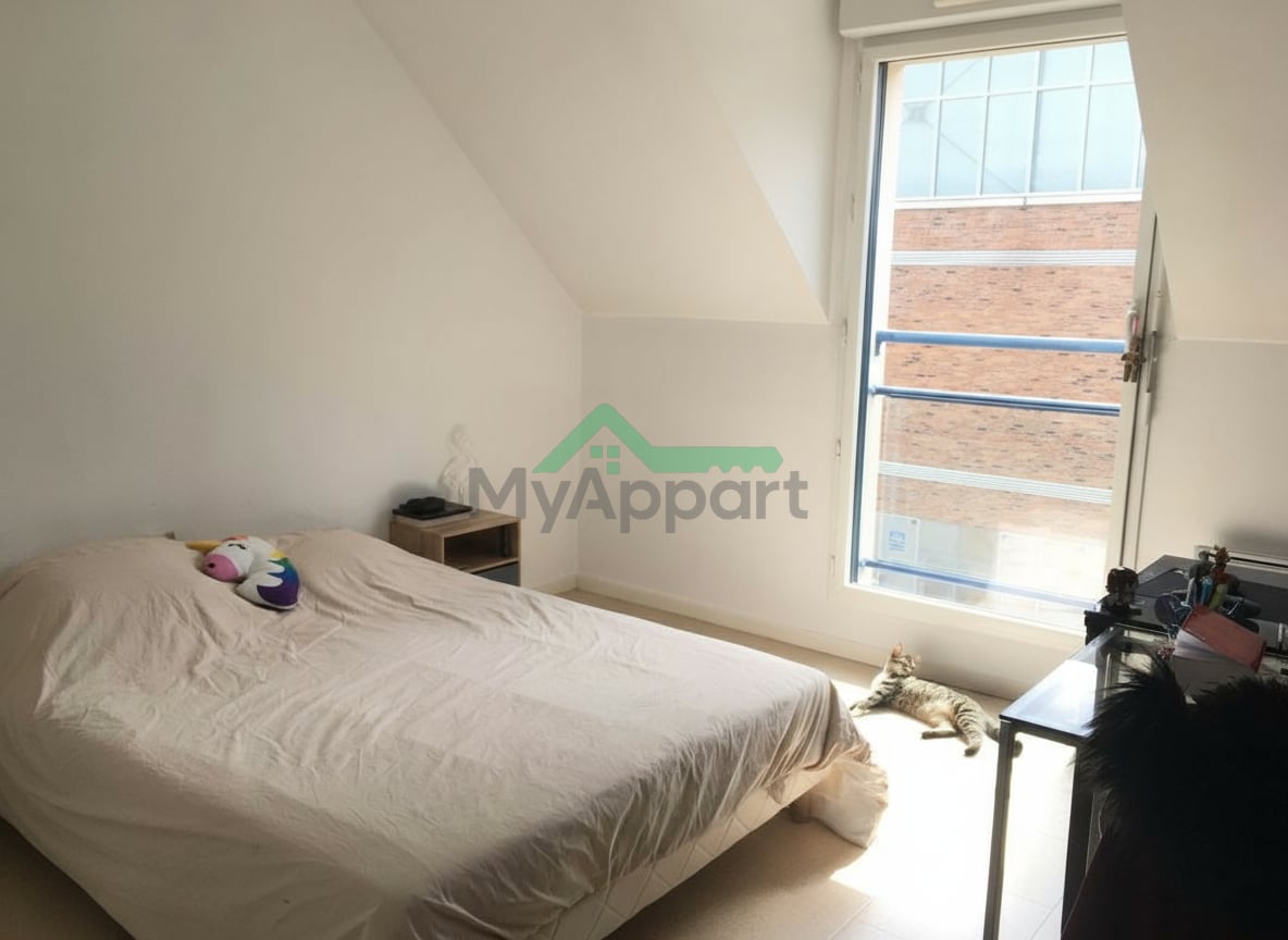 Location T2 très lumineux St Leu — photo 2