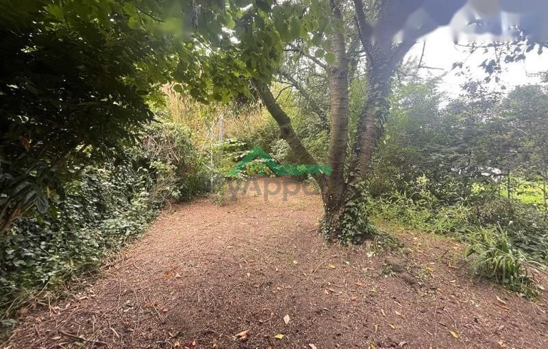 T3 Bis avec jardin / Marbrerie — photo 8