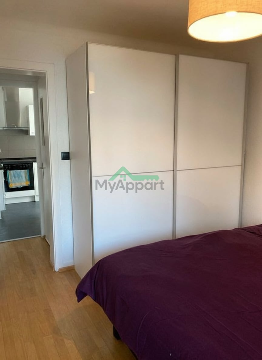 Loue magnifique appartement meublé T2 dans le quartier Sud de Colmar — photo 3