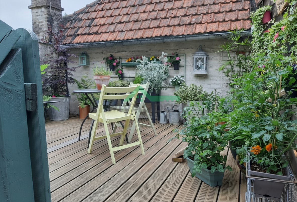 Appartement meublé 50m2 toit terrasse — photo 2