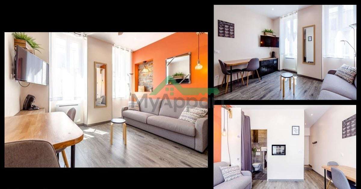 Studio meublé rénové lumineux — photo 1