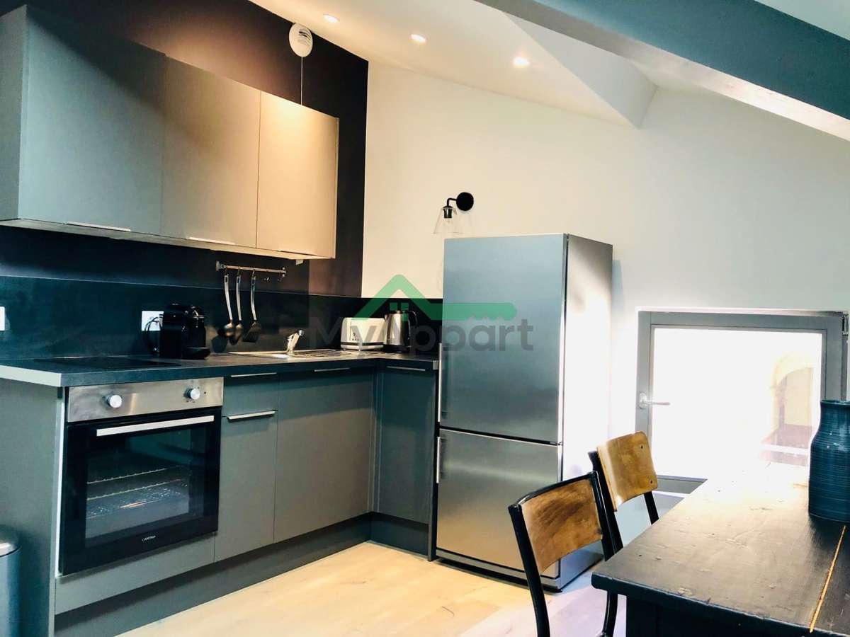 Appartement meuble 42m2 quai saone renovation recente — photo 1