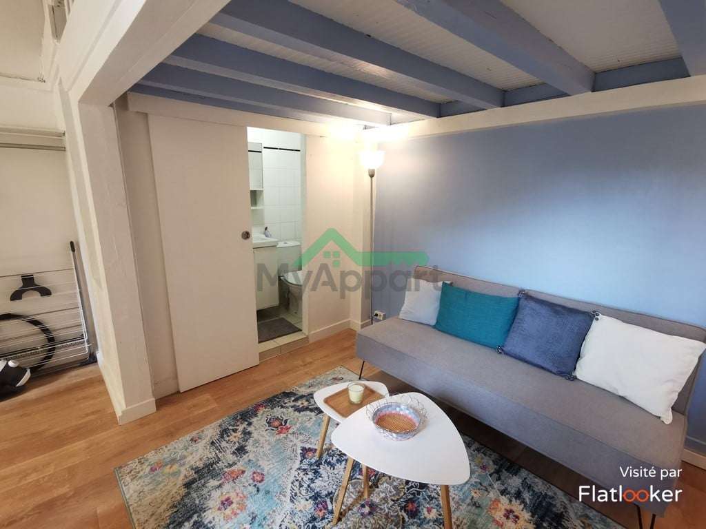 Appartement meublé 1 pièce 21 m², Lyon 1er - 850 € — photo 1